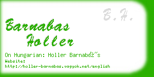 barnabas holler business card